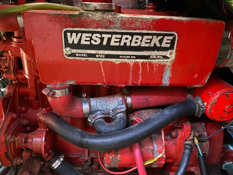 Slide: The Image of Catalina Morgan 38 1997 - 76