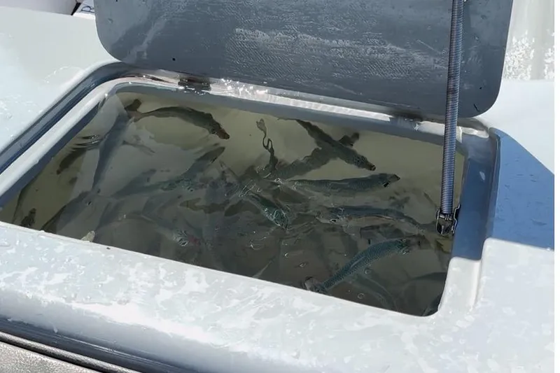 Slide: The Image of 2005 Carrera Boats 32 with dual 350R engines docked at a marina. - 4