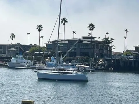 Slide: The Image of Sailboat Marlow-Hunter 31, 2016 model, anchored near waterfront homes and palm trees. - 5