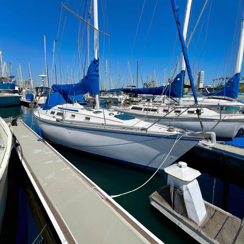 The Image of 1984 Hunter 34 sailboat docked in marina, blue covers, clear sky. - 0