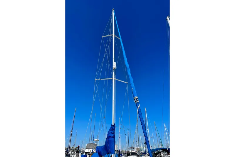 Slide: The Image of Mast - 13