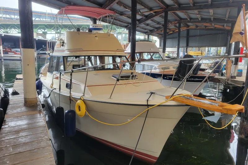 Slide: The Image of 1981 Bayliner 3270 Explorer docked in a covered marina, showcasing classic design. - 2