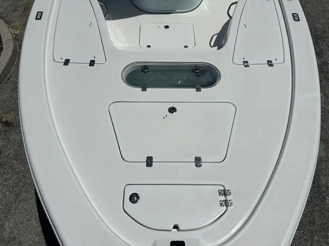 Slide: The Image of Sea Pro 250 DLX BAY 2025 - 15