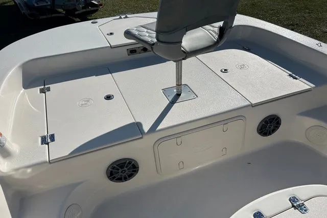 Slide: The Image of Carolina 19 LS 2025 - 7