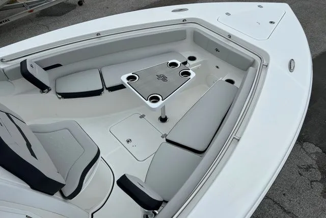 Slide: The Image of Sea Pro 262 DLX OFFSHORE 2025 - 17