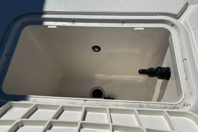 Slide: The Image of Carolina E16 JVX TH 2024 - 10