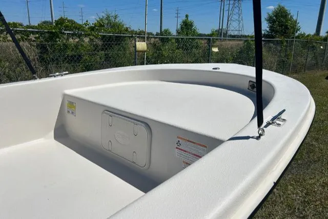 Slide: The Image of Carolina E16 JVX TH 2024 - 5