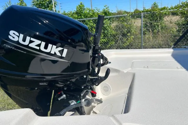 Slide: The Image of Carolina E16 JVX TH 2024 - 9