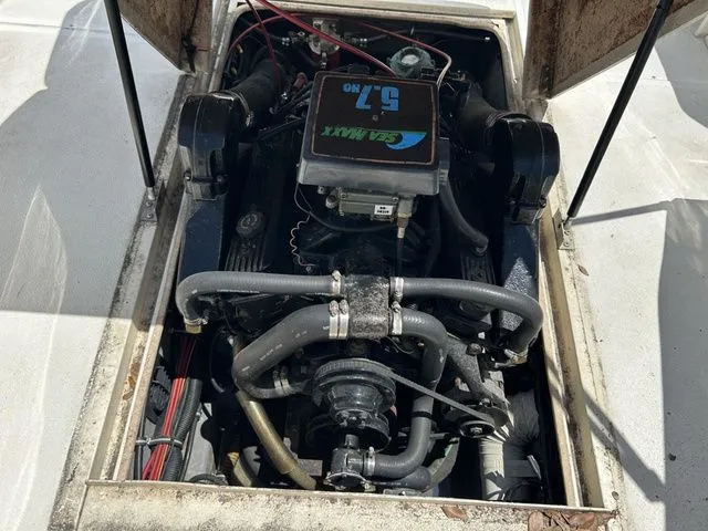 Slide: The Image of Shamrock 200 WA 1999 - 16