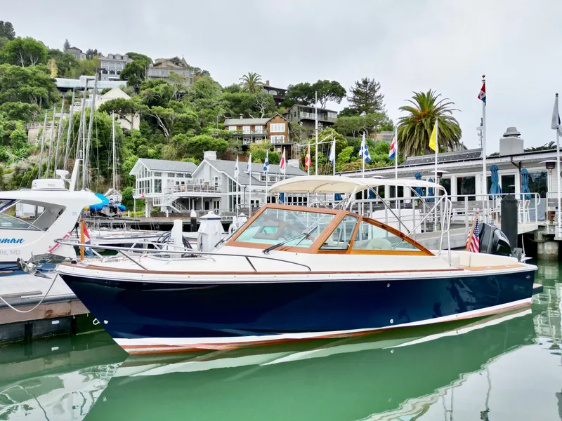 The Image of Hunt Harrier 26 2019 - 0