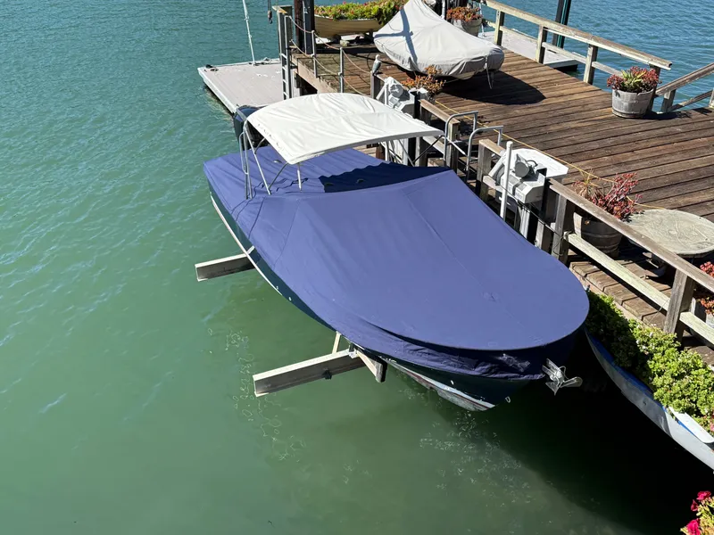 Slide: The Image of Hunt Harrier 26 2019 - 58