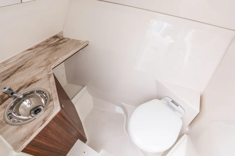 Slide: The Image of Pursuit DC 295 Dual Console 2019 - 34