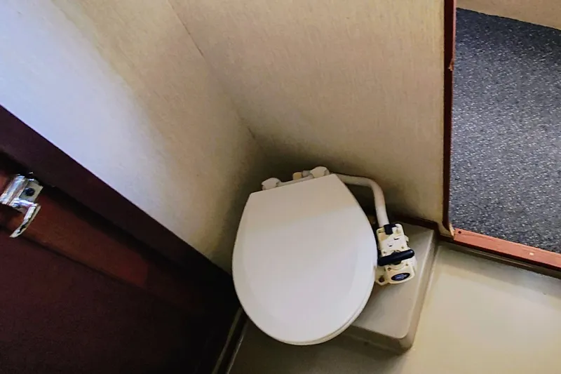 Slide: The Image of Guest Head - 37