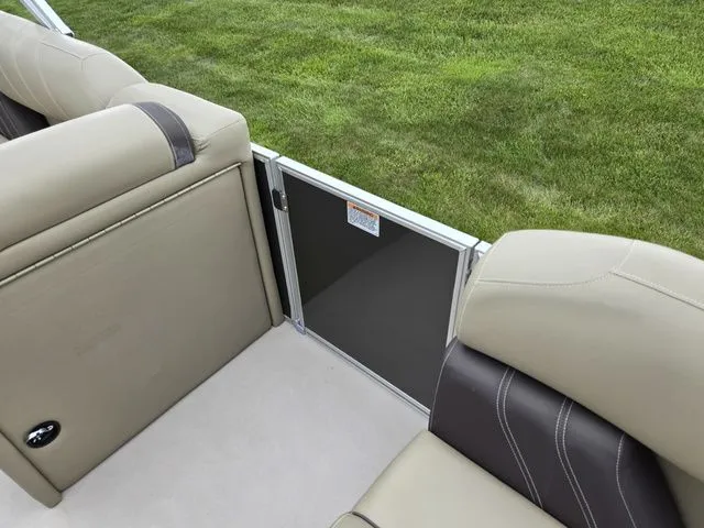 Slide: The Image of Sylvan Mirage Fish 822 Party Fish 2022 - 14