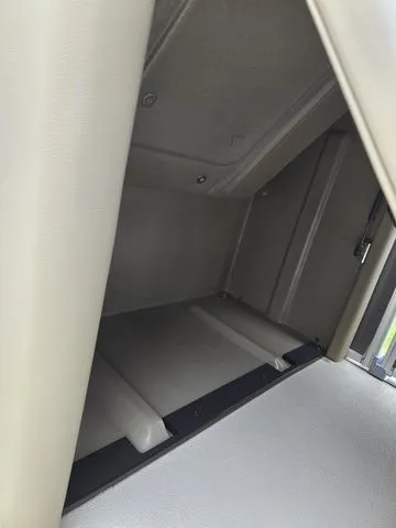 Slide: The Image of Sylvan Mirage Fish 822 Party Fish 2022 - 15