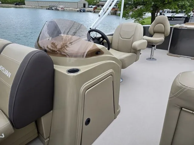 Slide: The Image of Sylvan Mirage Fish 822 Party Fish 2022 - 16