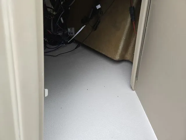 Slide: The Image of Sylvan Mirage Fish 822 Party Fish 2022 - 17