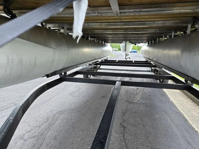 Slide: The Image of Sylvan Mirage Fish 822 Party Fish 2022 - 8