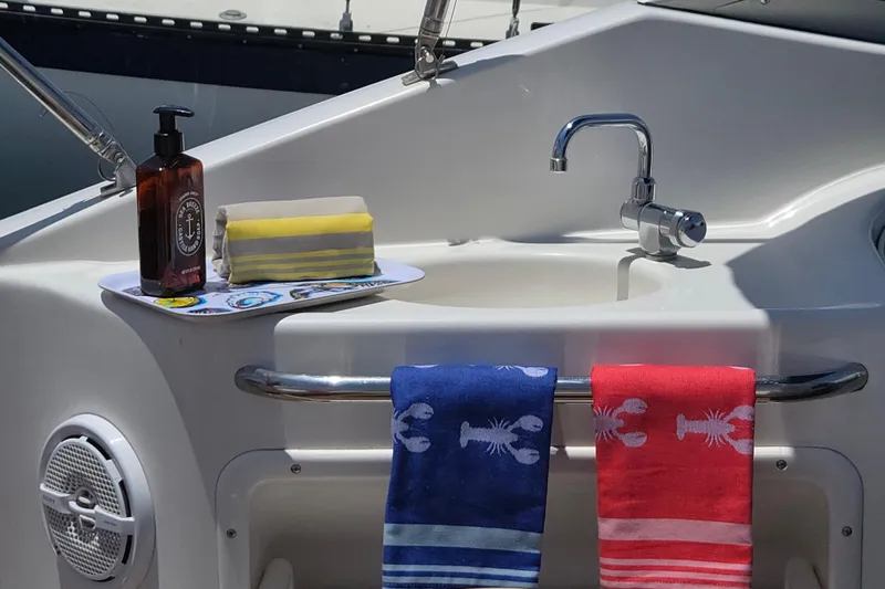Slide: The Image of 2004 Chaparral Signature 240 boat sink with faucet, soap, and lobster-themed towels. - 10