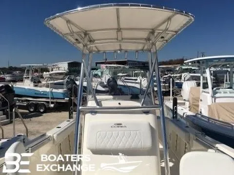 Slide: The Image of Cobia CC 201 2022 - 9