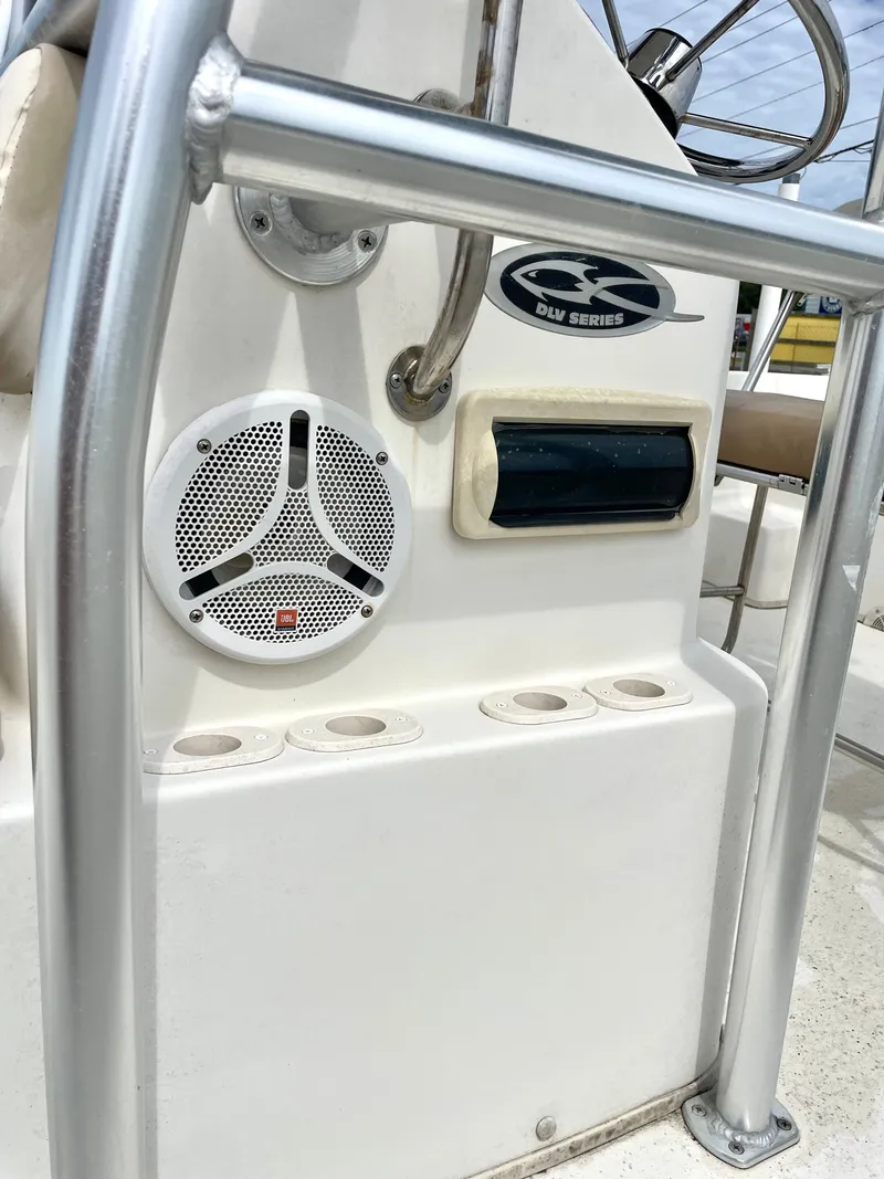 Slide: The Image of Carolina 218 DLV 2013 - 18