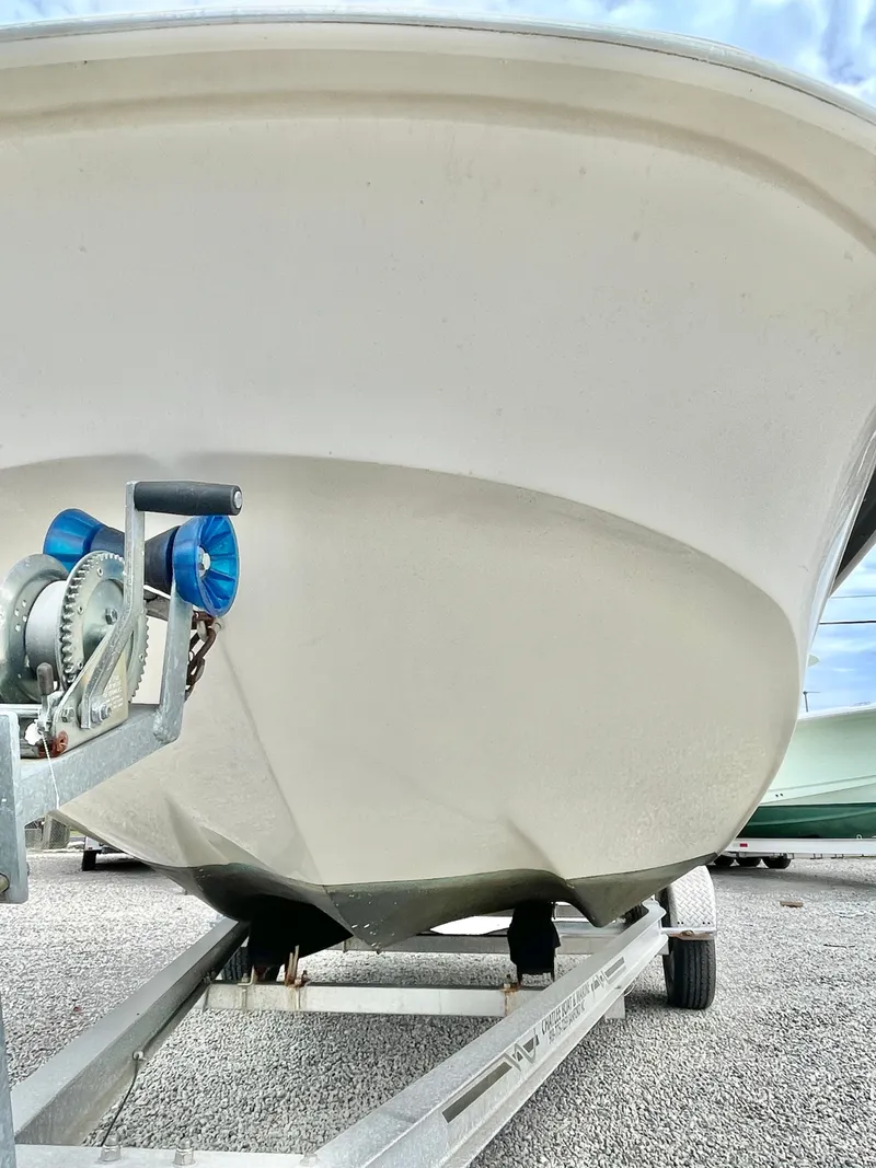 Slide: The Image of Carolina 218 DLV 2013 - 20