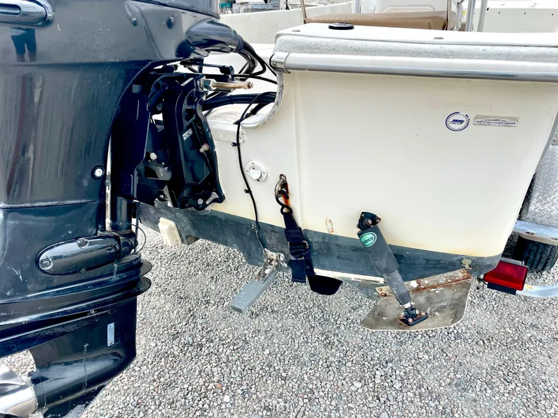 Slide: The Image of Carolina 218 DLV 2013 - 24