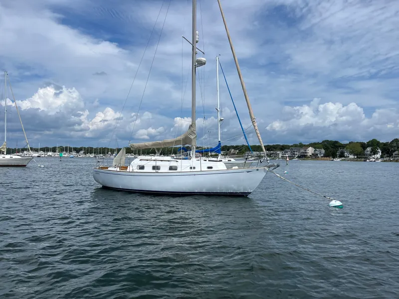 The Image of Bristol 29.9 1979 - 0