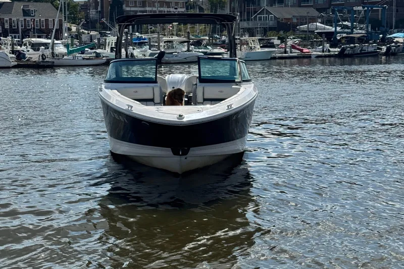 Slide: The Image of 2024 Regal LX6 boat on water with a dog onboard, marina background. - 4