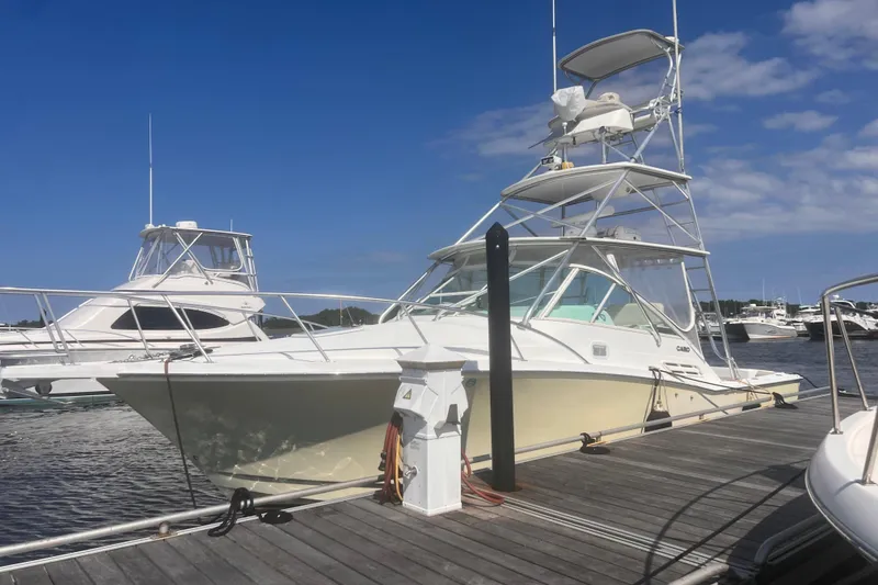 The Image of 2001 Cabo 31 Express boat cruising swiftly on open water. - 0
