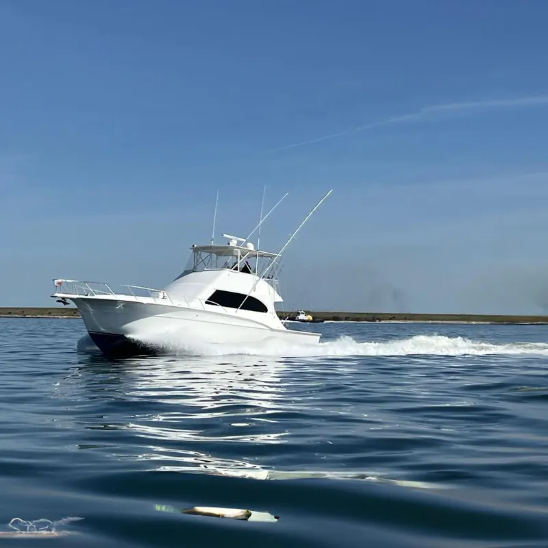 Slide: The Image of 2002 Cavileer 48 Flybridge Sportfish cruising on calm waters under a clear blue sky. - 74