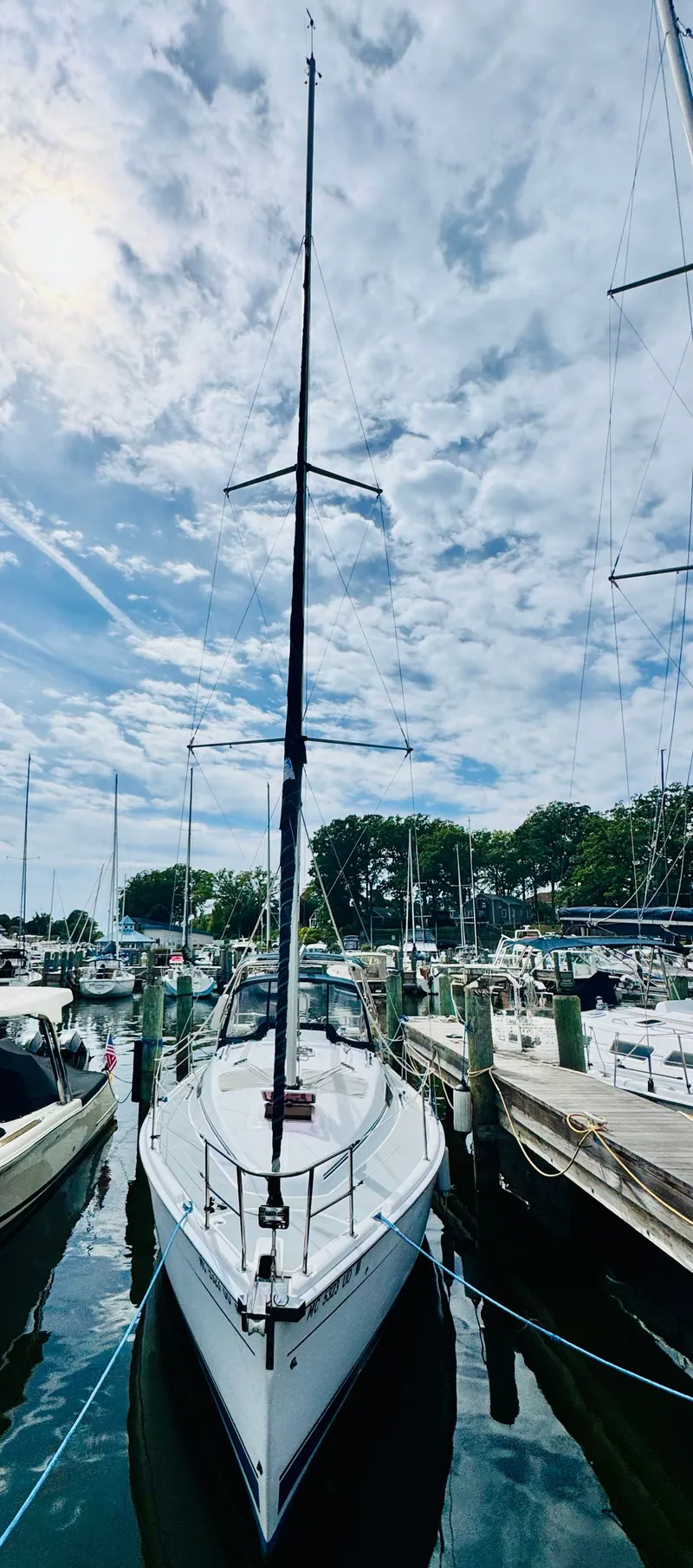 Slide: The Image of Hunter 33 2006 - 32