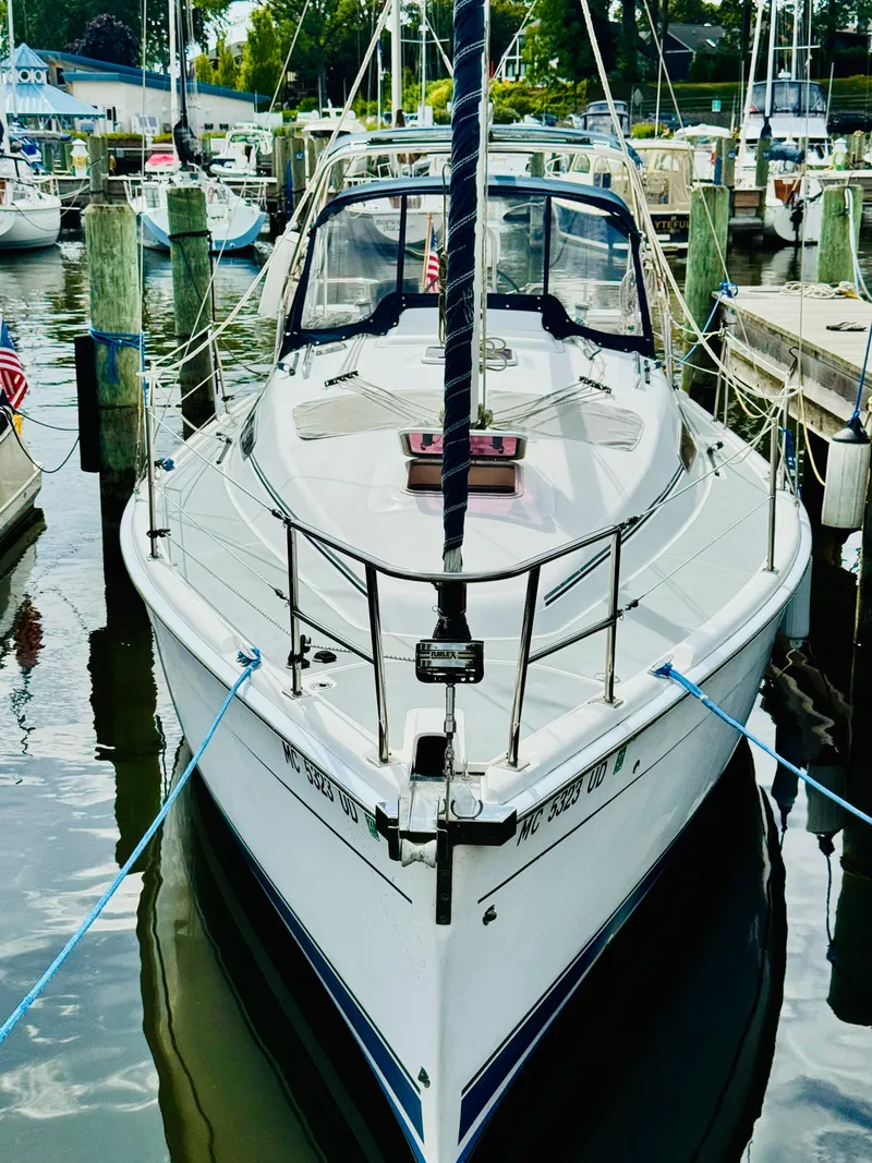 Slide: The Image of Hunter 33 2006 - 33