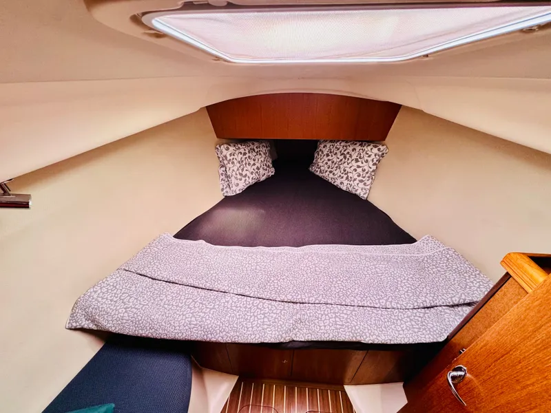 Slide: The Image of Hunter 33 2006 - 5