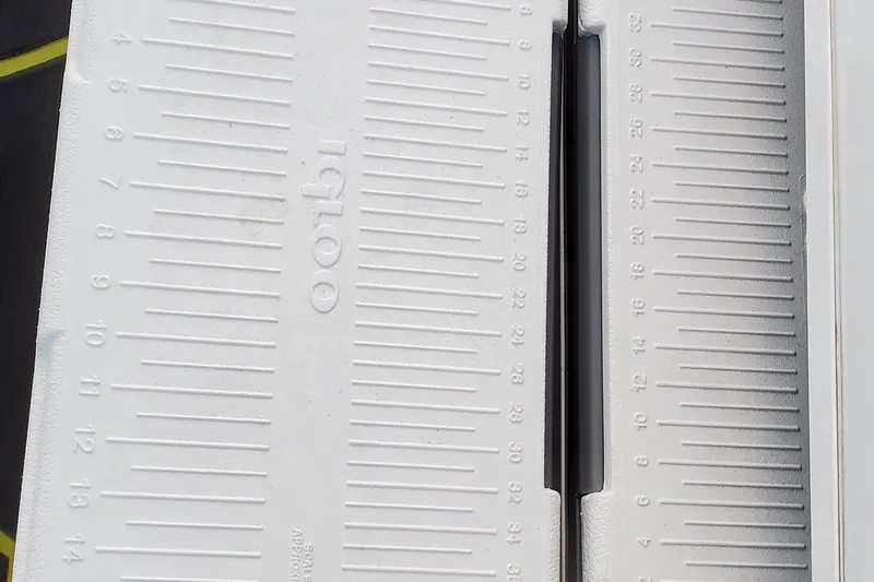 Slide: The Image of Ruler detail on 2024 Scarab 285 Wake ID boat, featuring Igloo branding. - 8