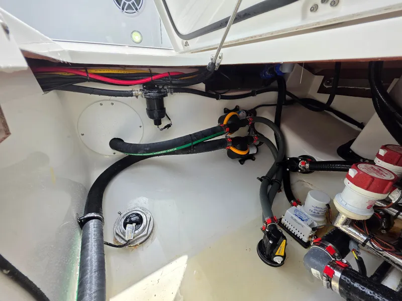 Slide: The Image of Crevalle 33 CSF 2024 - 45