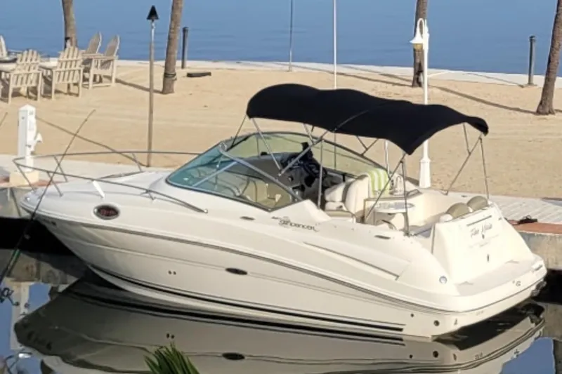 The Image of 2007 Sea Ray 240 Sundancer boat docked by a sandy beach with palm trees. - 3