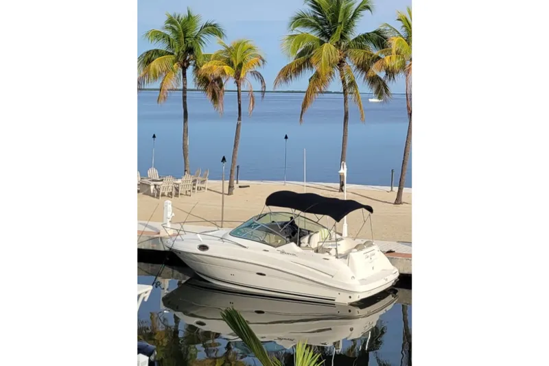 Slide: The Image of 2007 Sea Ray 240 Sundancer boat docked by palm trees and calm water. - 4