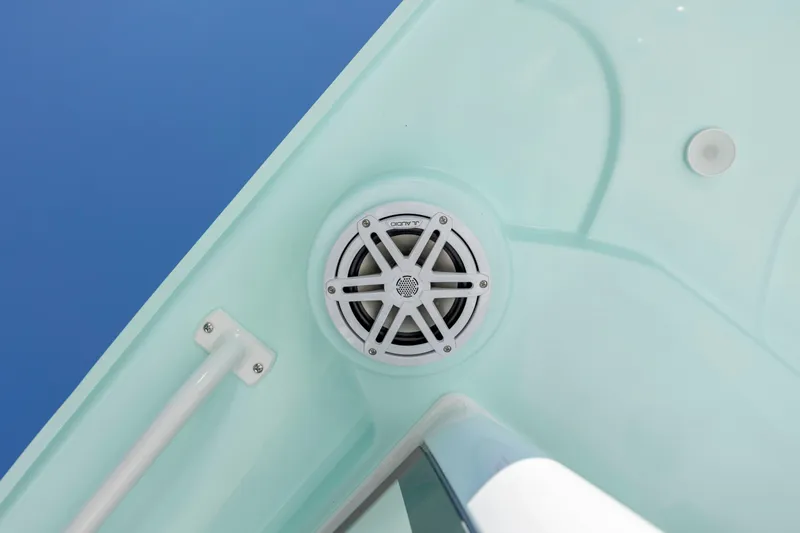 Slide: The Image of 2026 Caymas 291 HB boat speaker and handle detail against blue sky. - 28