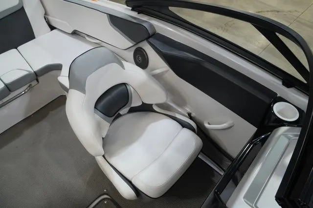 Slide: The Image of Scarab 195 2017 - 11