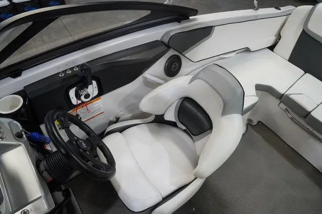 Slide: The Image of Scarab 195 2017 - 12