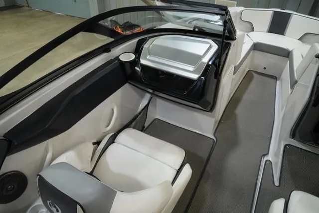 Slide: The Image of Scarab 195 2017 - 13