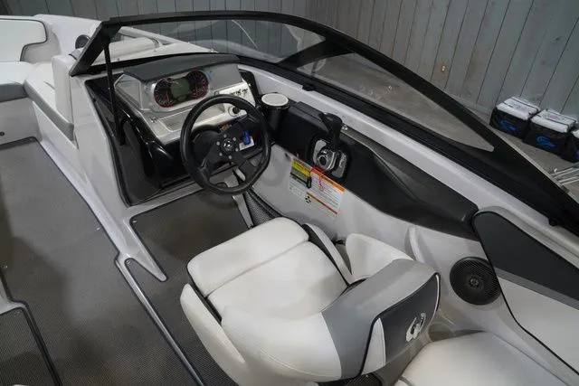 Slide: The Image of Scarab 195 2017 - 14