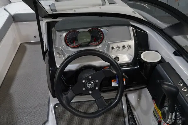 Slide: The Image of Scarab 195 2017 - 16