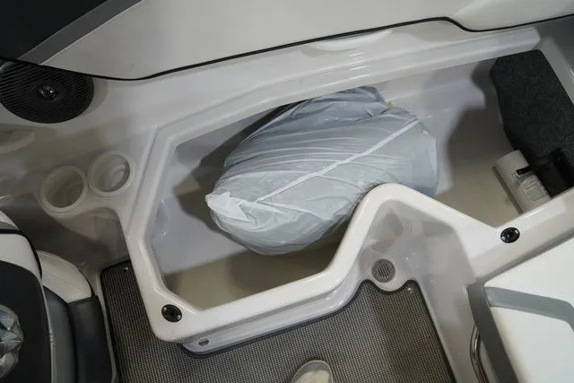 Slide: The Image of Scarab 195 2017 - 18