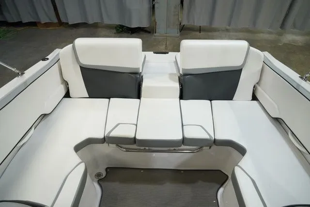 Slide: The Image of Scarab 195 2017 - 19