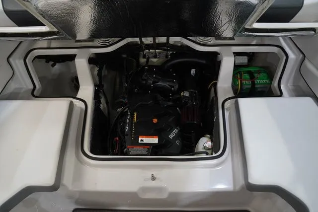 Slide: The Image of Scarab 195 2017 - 20