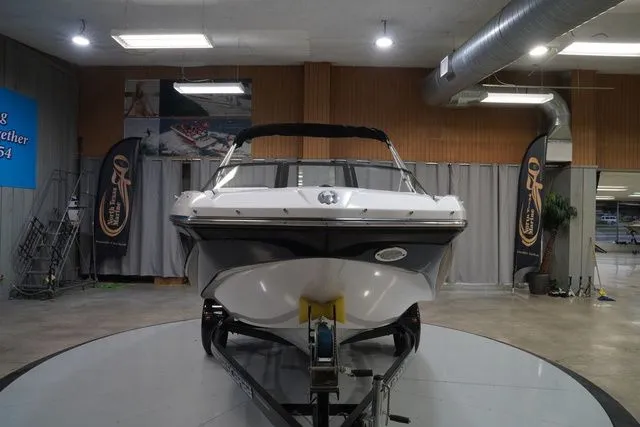 Slide: The Image of Scarab 195 2017 - 3