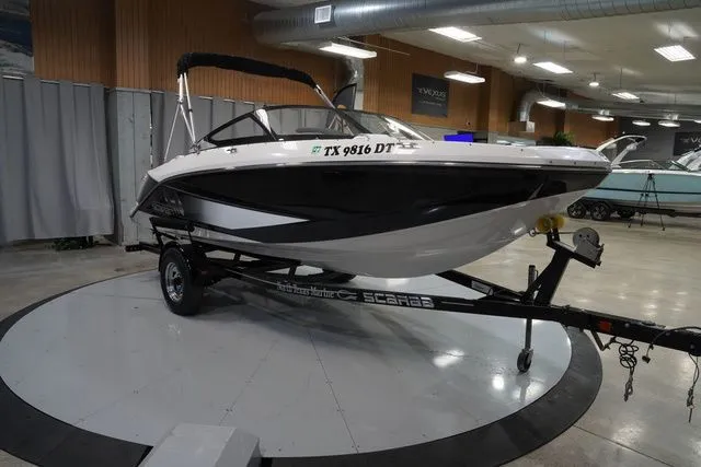 Slide: The Image of Scarab 195 2017 - 4