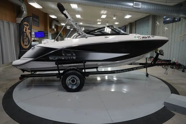 Slide: The Image of Scarab 195 2017 - 5